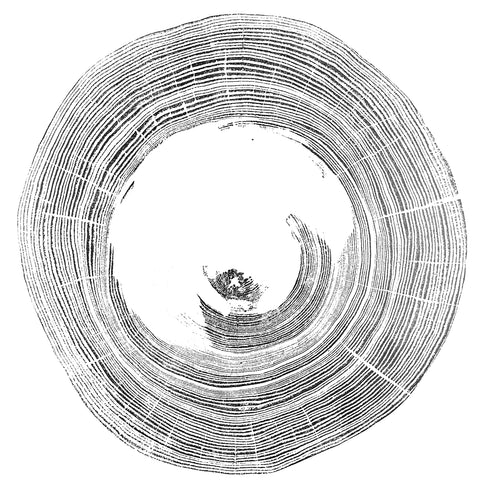 "Heart Rot Elm" Tree Print - White Paper